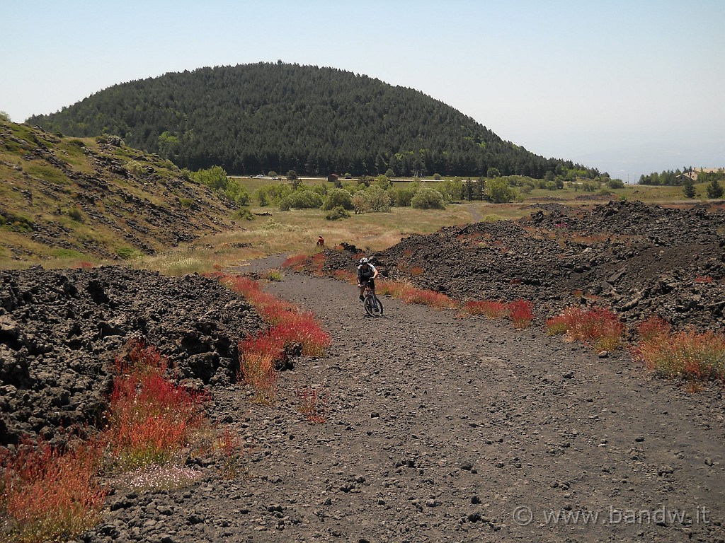 DSCN5425.JPG - Dopo un bel giretto vicino l'altomontana, dirigiamo sotto Monte Nero degli Zappini