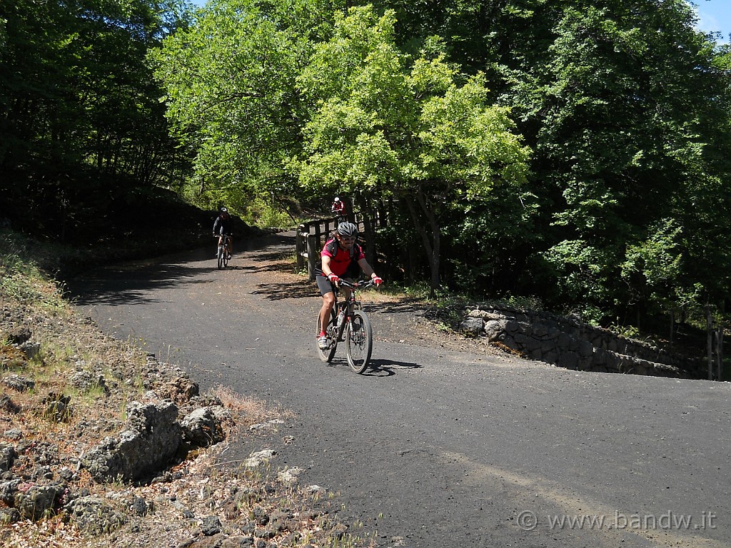 DSCN5019.JPG - Scendiamo lanciati verso il Rif. Spagnolo