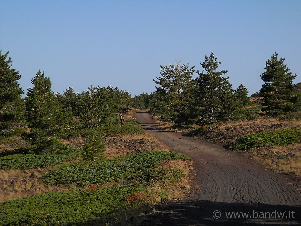 DSCN5591.JPG - Pedalare in questo scenario non ha prezzo!!!!