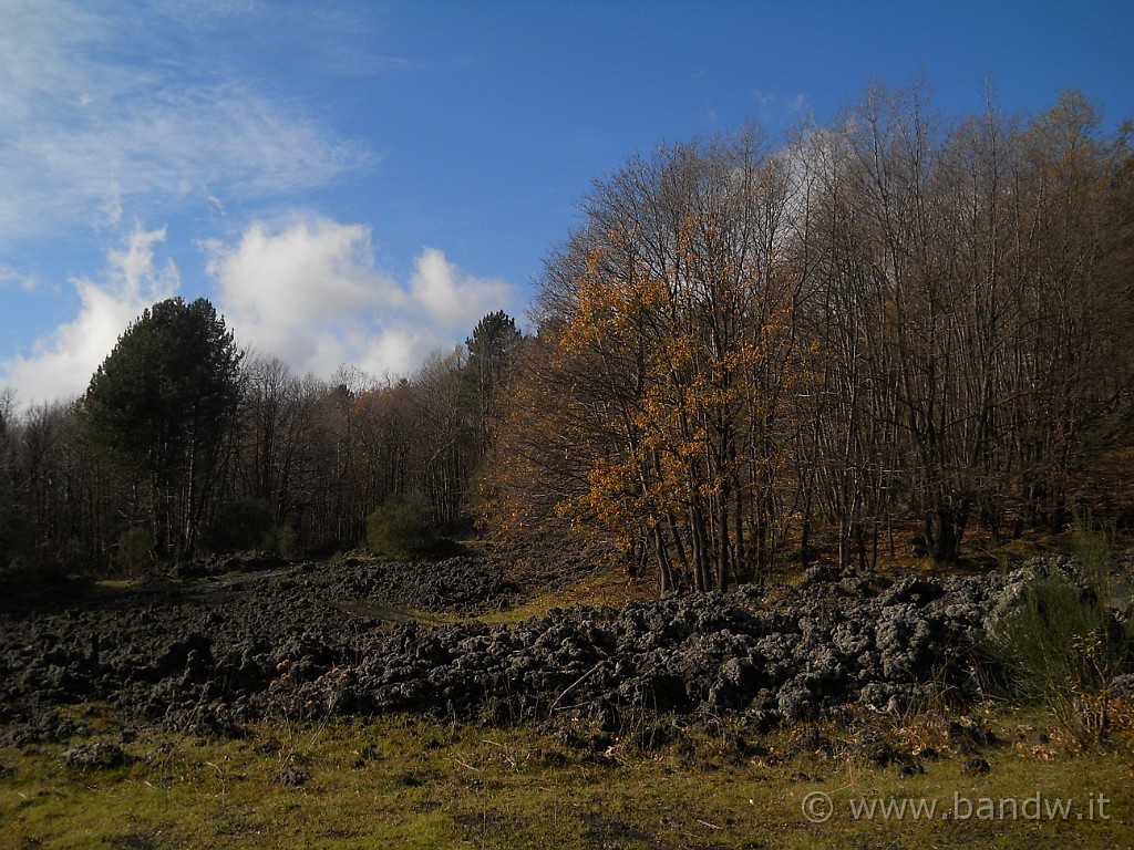 DSCN2637.JPG - Il paesaggio circostante