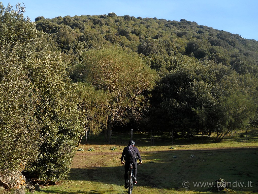 DSCN3144.JPG - Siamo ormai sotto Monte Minardo