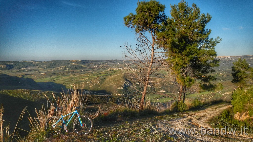 DSCN8745-01.jpeg - Bosco di Magaggiaro