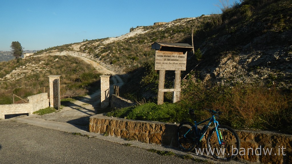 DSCN8751.JPG - Bosco di Magaggiaro