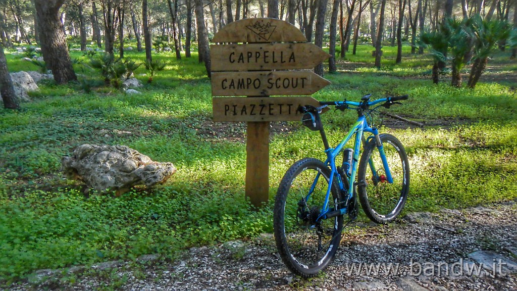 DSCN8753-01.jpeg - Bosco di Magaggiaro