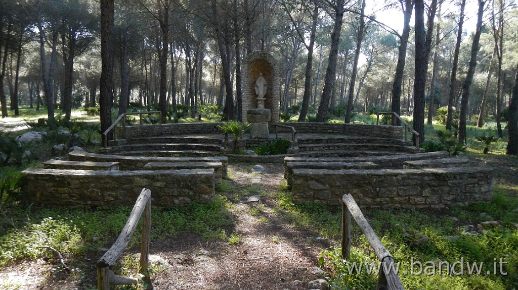 DSCN8755.JPG - Bosco di Magaggiaro