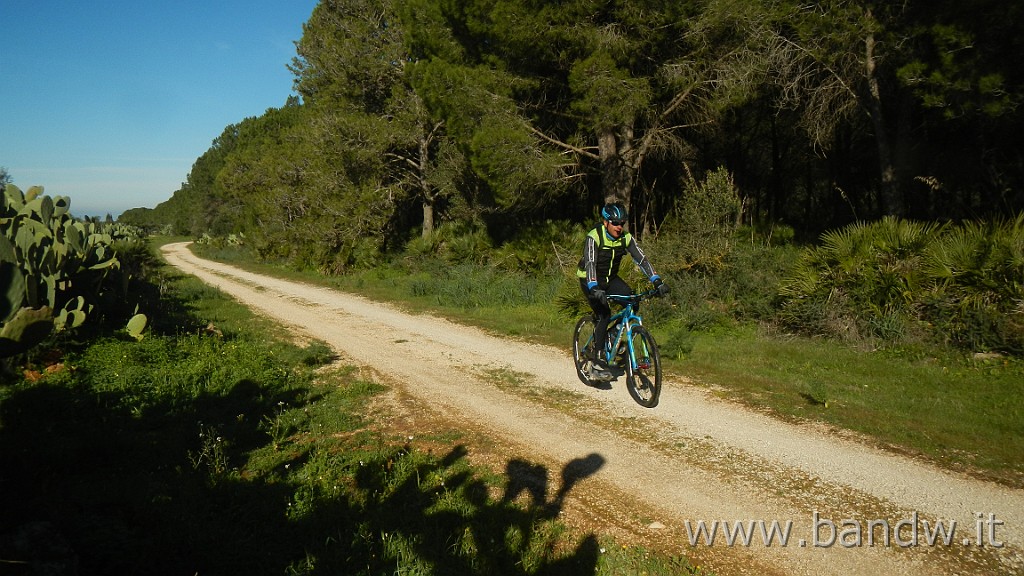 DSCN8757.JPG - Bosco di Magaggiaro