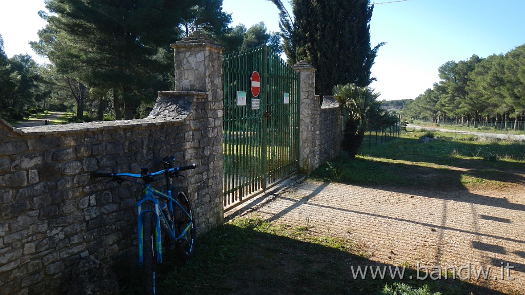 DSCN8762.JPG - Bosco di Magaggiaro