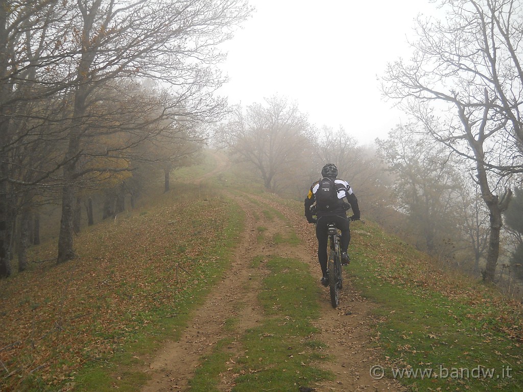 DSCN2223.JPG - Nulla ci ferma e quindi iniziamo a pedalare dentro le nuvole