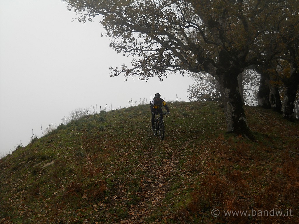 DSCN2228.JPG - Per aggirare qualche pozza mista di fango e feci animali, divaghiamo su ogni tratto pedalabile possibile