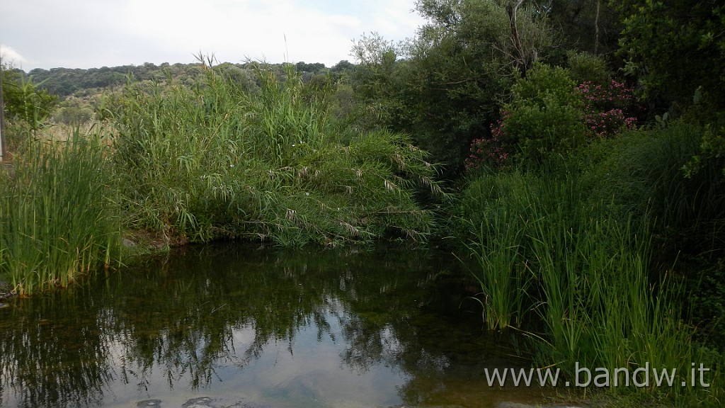 DSCN3333.JPG - Demanio forestale Risicone e Castellaccio