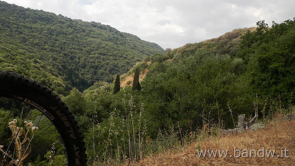 DSCN3354.JPG - Demanio forestale Risicone e Castellaccio