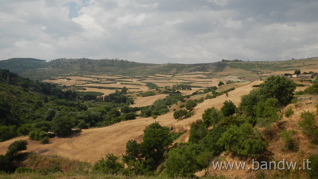 DSCN3357.JPG - Demanio forestale Risicone e Castellaccio