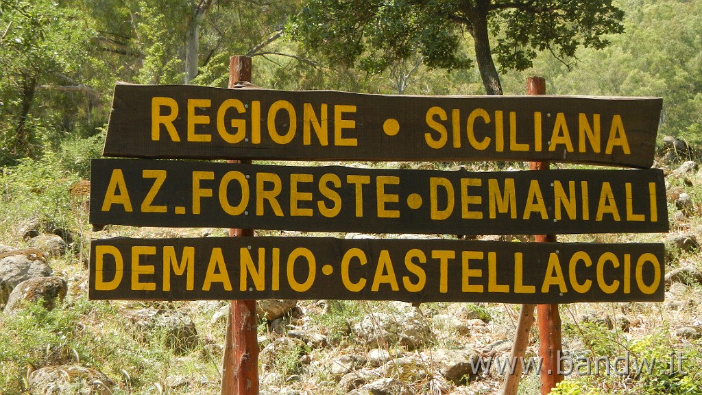 DSCN3368.JPG - Demanio forestale Risicone e Castellaccio