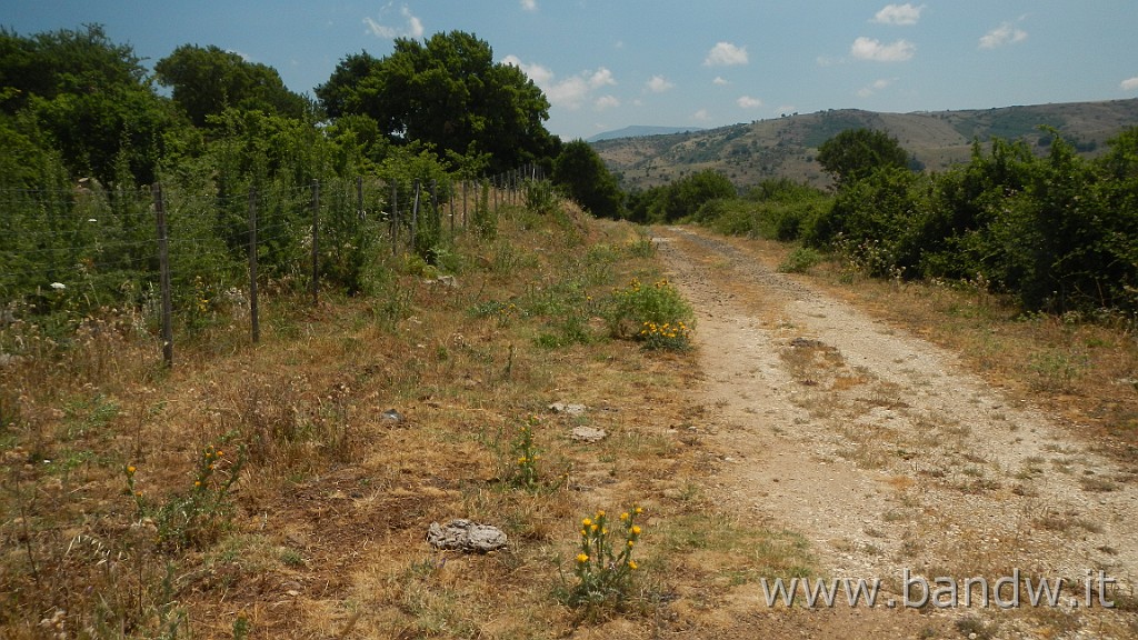 DSCN3370.JPG - Demanio forestale Risicone e Castellaccio