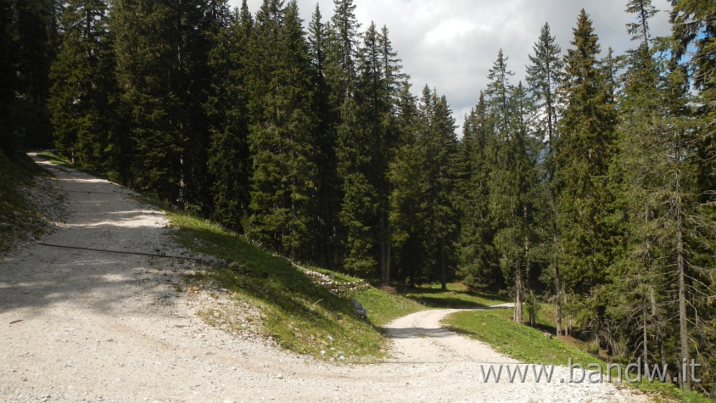 DSCN3822.JPG - Dolomiti - Prato Piazza e Malga Stolla