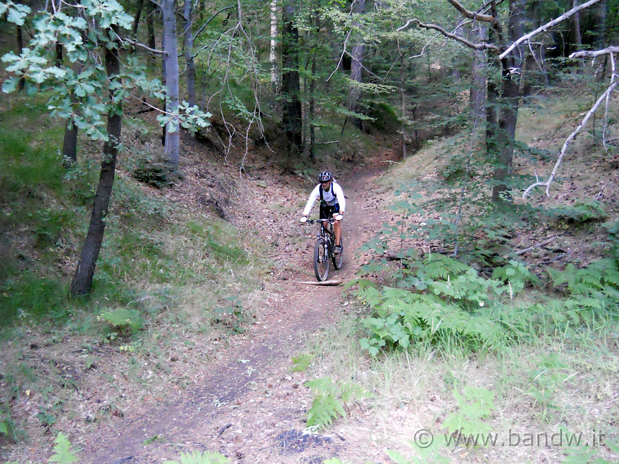 DSCN6464.JPG - Il single Track del Citelli