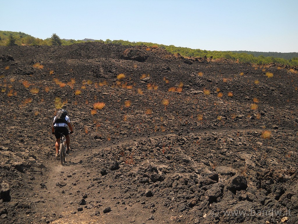 DSCN5934.JPG - Il solito Single Track sulla lava