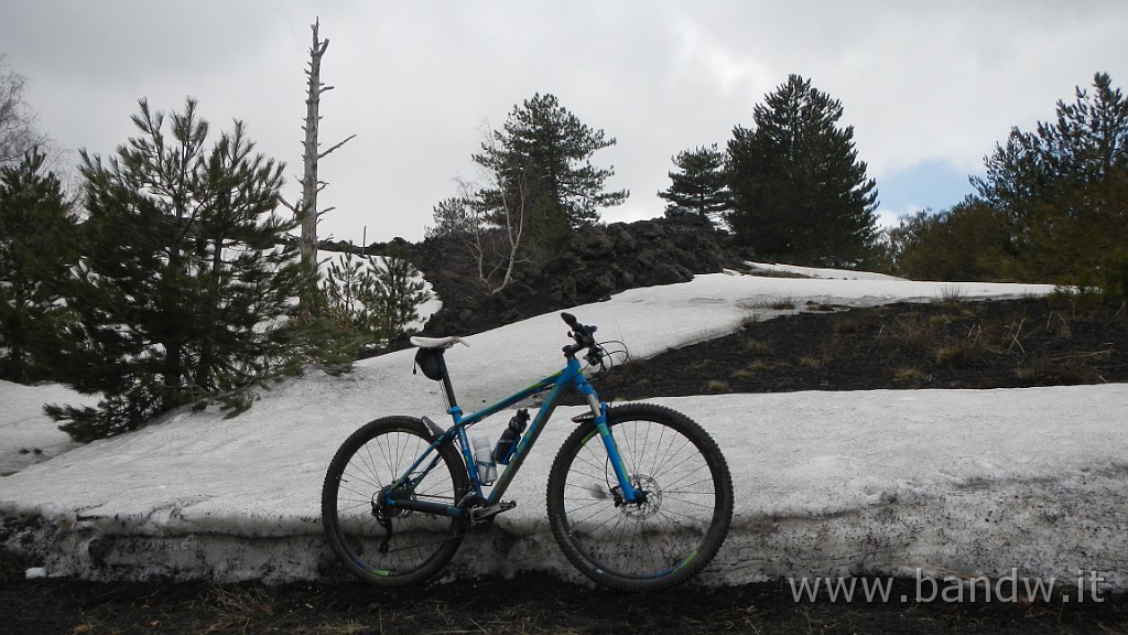 DSCN2934.JPG - Exploring Etna Est