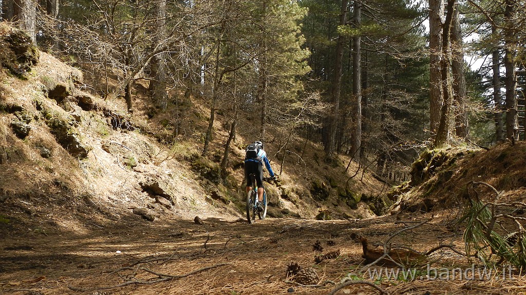 DSCN2943.JPG - Exploring Etna Est