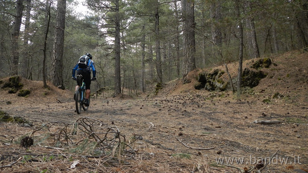 DSCN2944.JPG - Exploring Etna Est