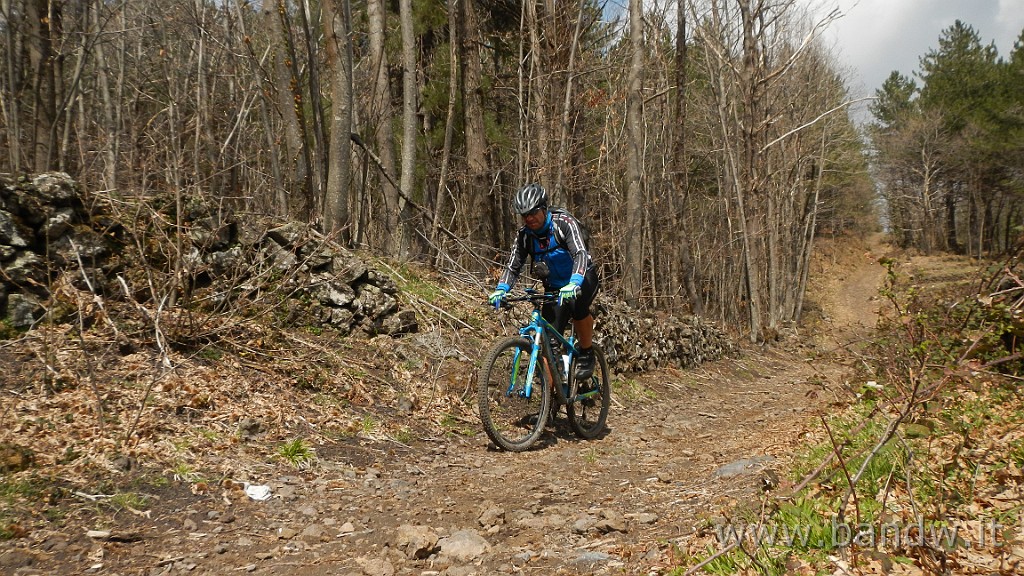 DSCN2950.JPG - Exploring Etna Est