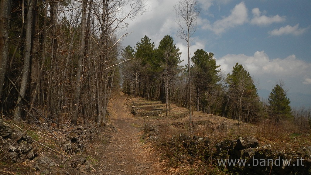 DSCN2951.JPG - Exploring Etna Est