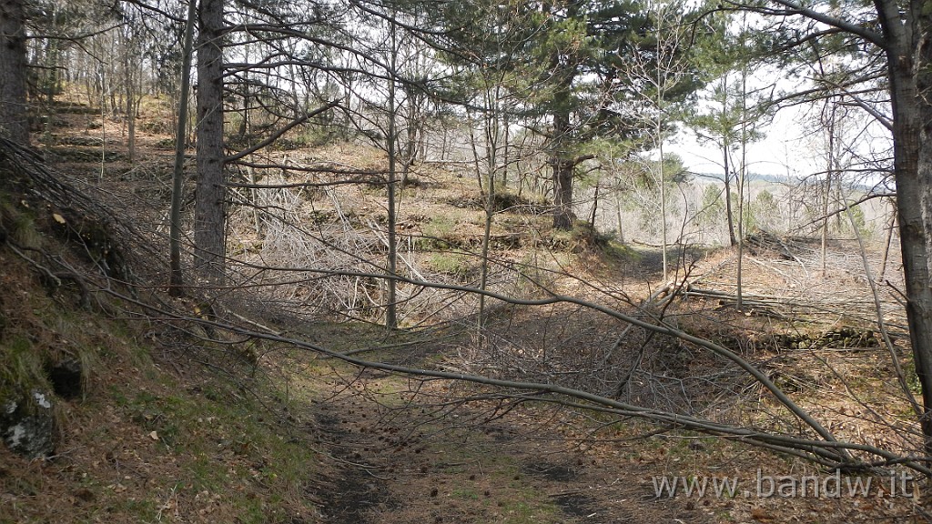 DSCN2952.JPG - Exploring Etna Est