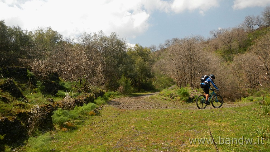 DSCN2962.JPG - Exploring Etna Est