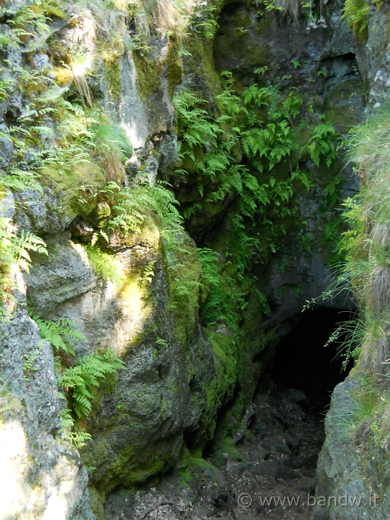 DSCN5465.JPG - Altra grotta con l'ingresso tappezzato di Felci sulle pareti