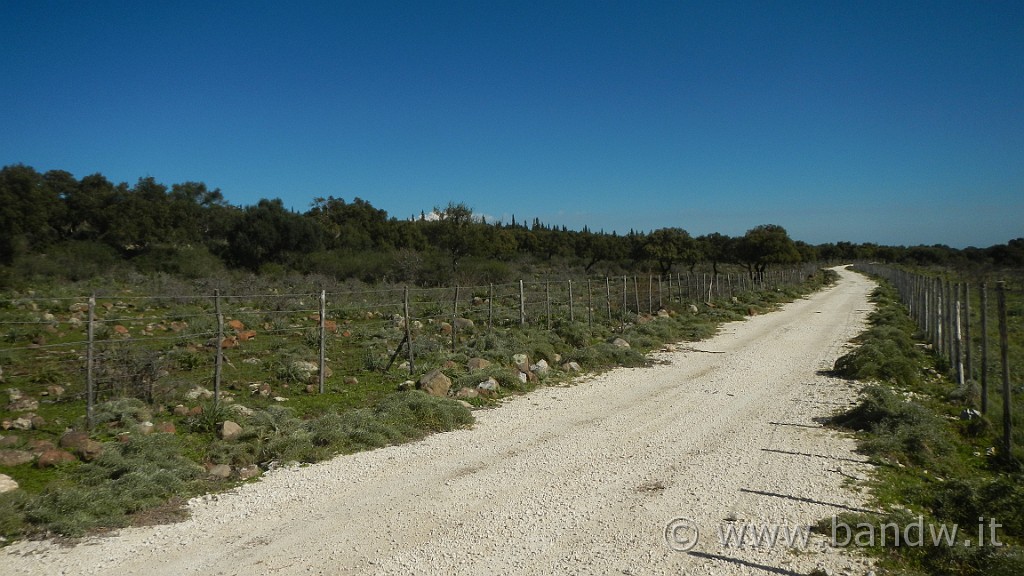 DSCN0042.JPG - Francofonte-Rizzolo-Pisano-Buccheri-Santa Venere