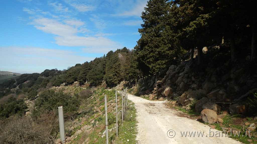 DSCN0051.JPG - Francofonte-Rizzolo-Pisano-Buccheri-Santa Venere