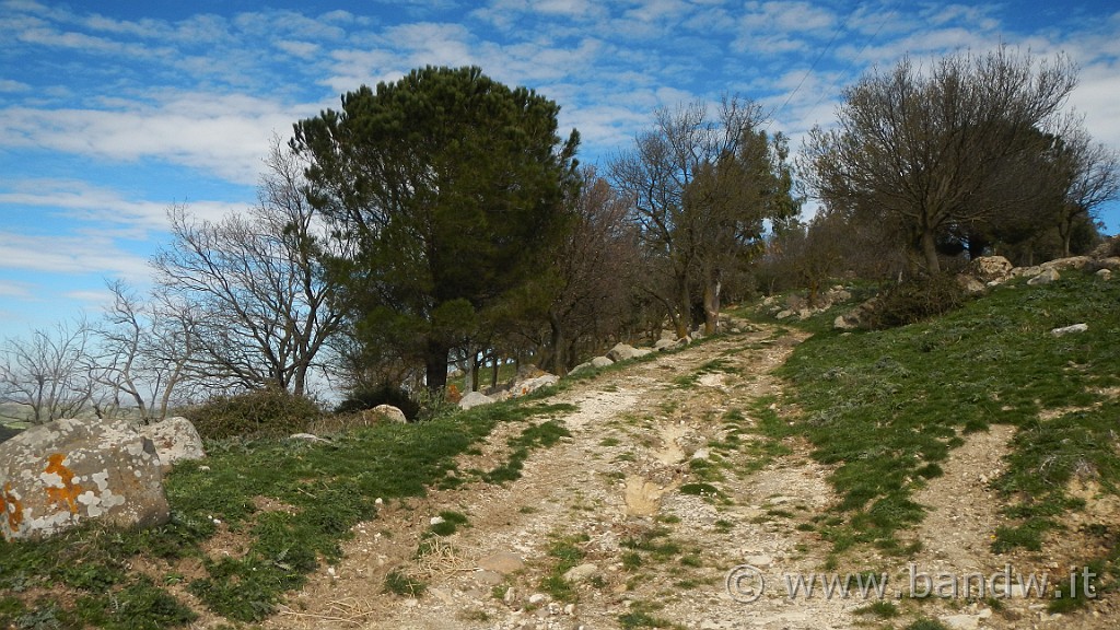 DSCN0060.JPG - Francofonte-Rizzolo-Pisano-Buccheri-Santa Venere