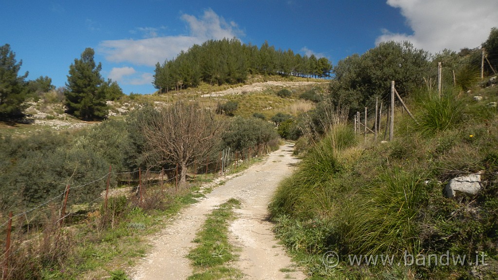 DSCN0080.JPG - Francofonte-Rizzolo-Pisano-Buccheri-Santa Venere