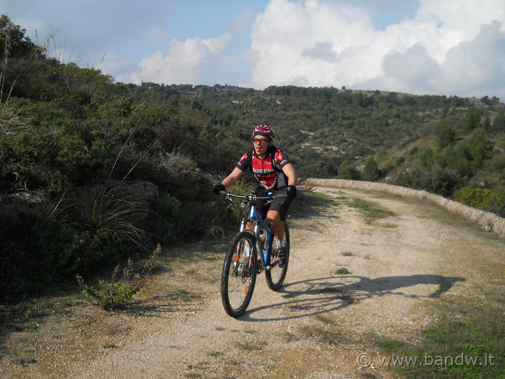 DSCN8659.JPG - Lungo un percorso della Forestale