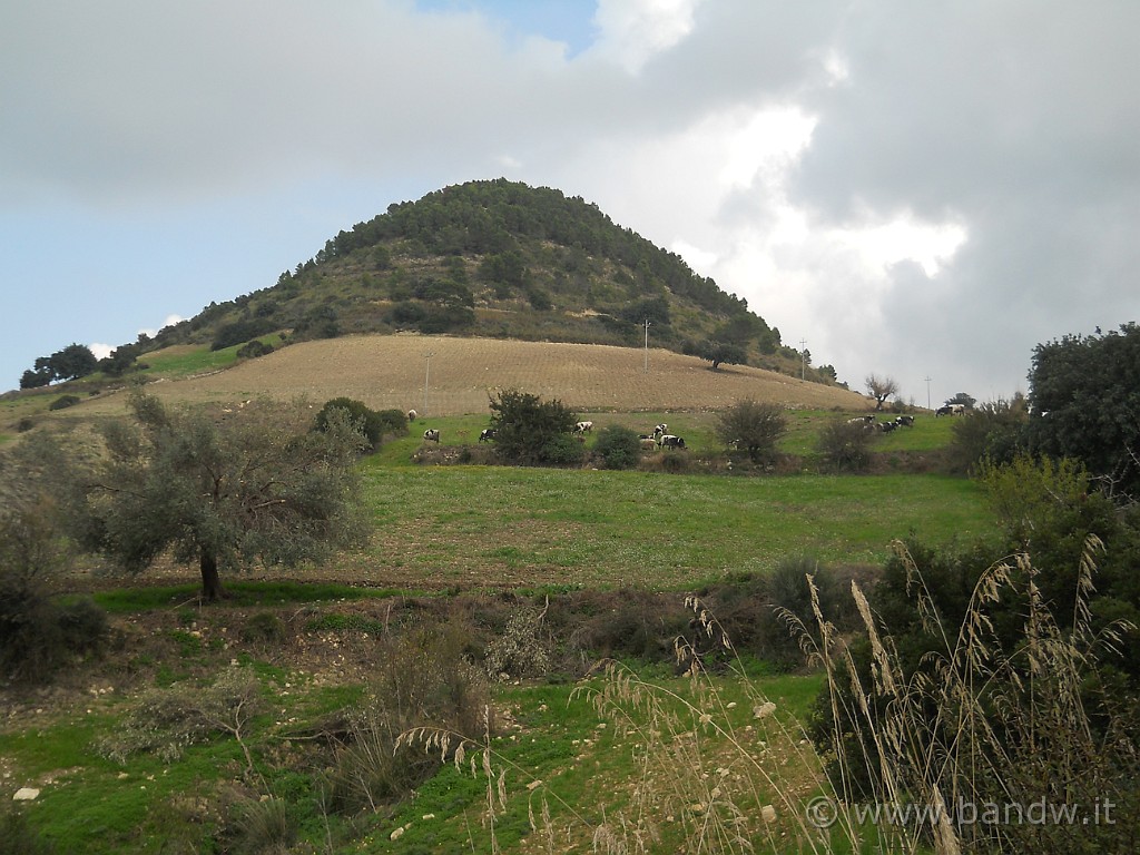 DSCN8664.JPG - Il cuccuzzolo della montagna che abbiamo appena disceso chiamato "12 km" per via del tratto dove si innesta sulla SP18 appunto sul 12° km