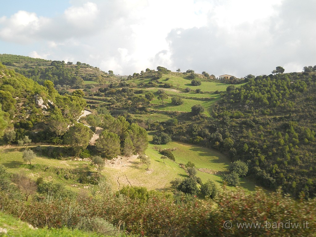 DSCN8678.JPG - Percorriamo la SP 98 e dirigiamo verso la provinciale Palazzolo-Testa dell'Acqua-Noto