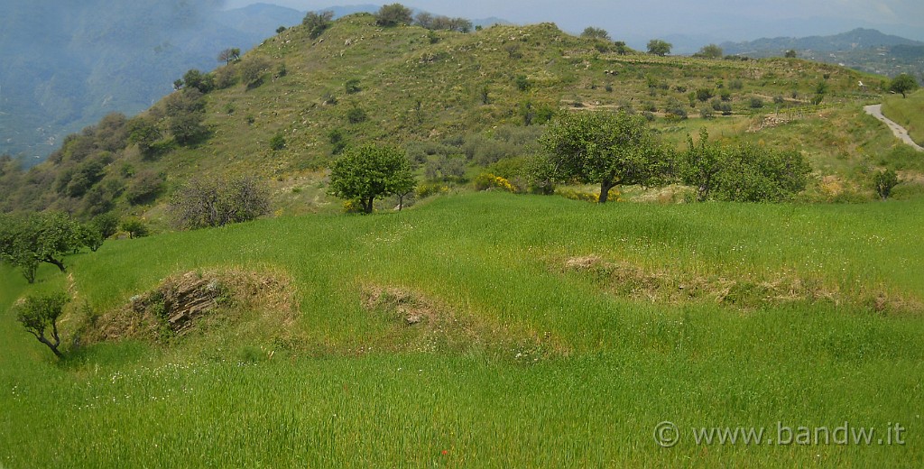 DSCN4583-84.jpg - Panorami primaverili