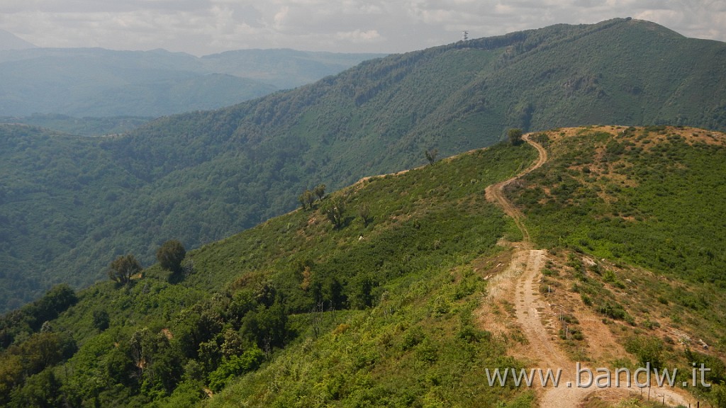 DSCN6339.JPG - Gioiosa Guardia, Monte Ilici, Montagnareale