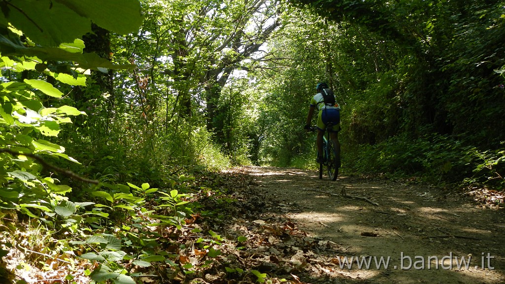 DSCN6342.JPG - Gioiosa Guardia, Monte Ilici, Montagnareale