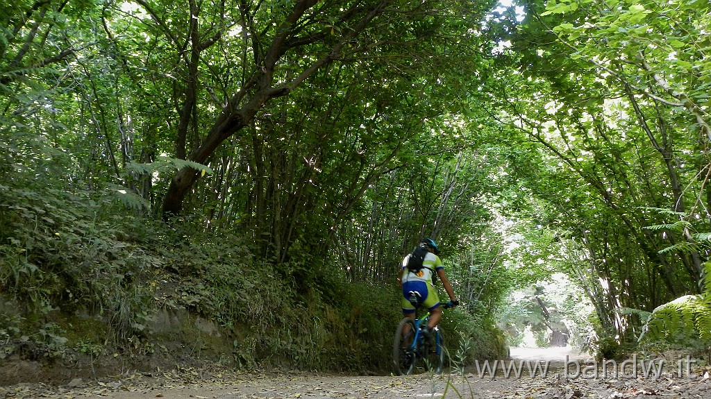 DSCN6301.JPG - Marina di Patti-Librizzi-Porticella-Tindari