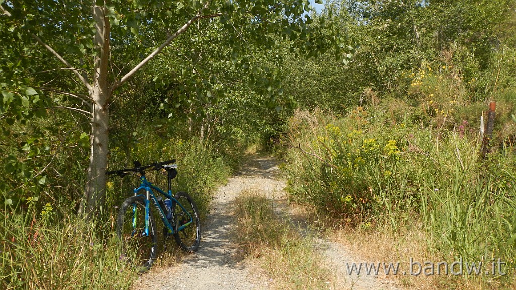 DSCN6305.JPG - Marina di Patti-Librizzi-Porticella-Tindari