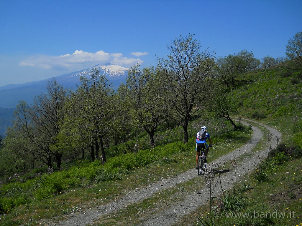 DSCN4692.JPG - Raggiungiamo quota 1137 metri e scolliniamo