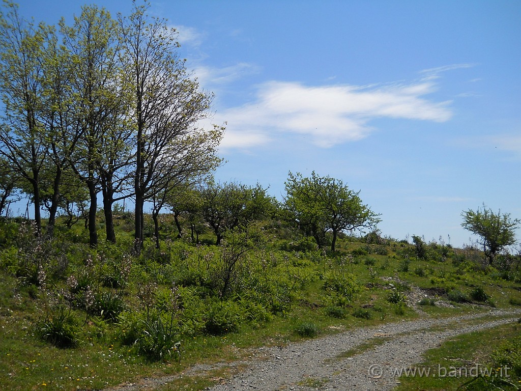 DSCN4695.JPG - Oggi la giornata è davvero stupenda