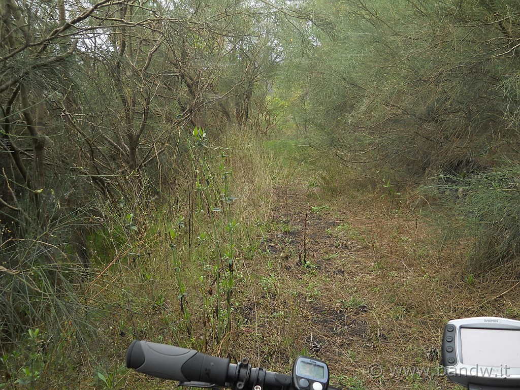 DSCN1536.JPG - Da qui è impossibile proseguire, la cresta del Monte Gemmellaro è proprio irraggiungibile in MTB