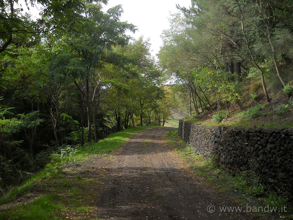 DSCN1551.JPG - La strada del ritorno