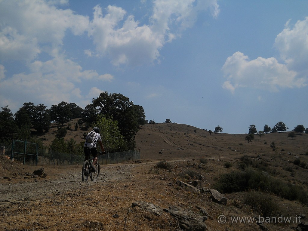 DSCN6403.JPG - Ultime salite prima di arrivare sulla Dorsale dei Nebrodi