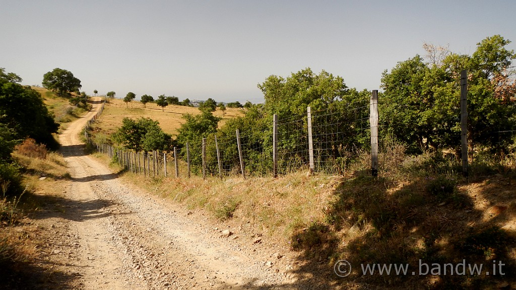 DSCN9909.JPG - Contrada Sant'Elia