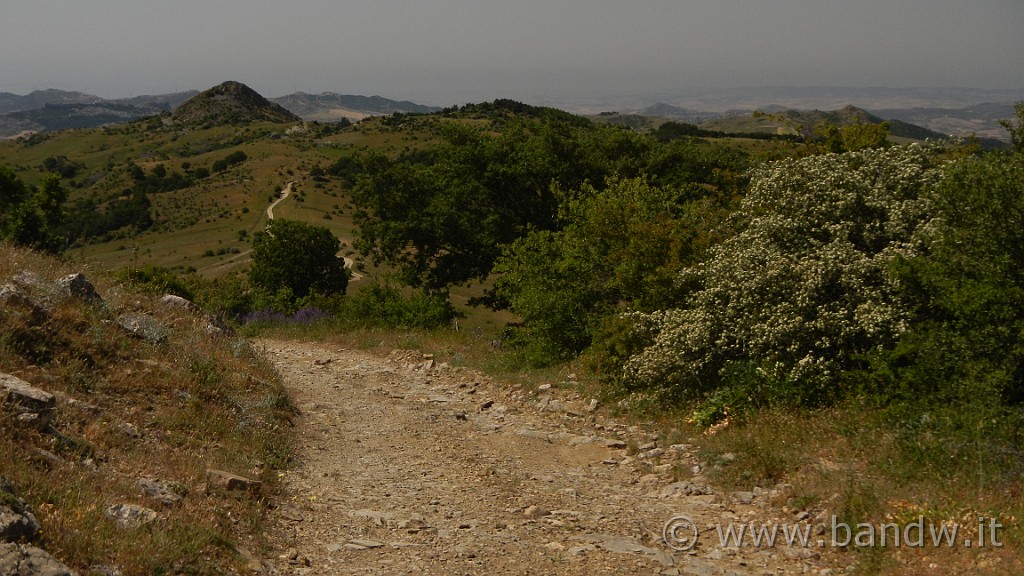 DSCN9923.JPG - La salita, in qualche tratto, si fà davvero impegnativa per via del fondo sconnesso e ripido