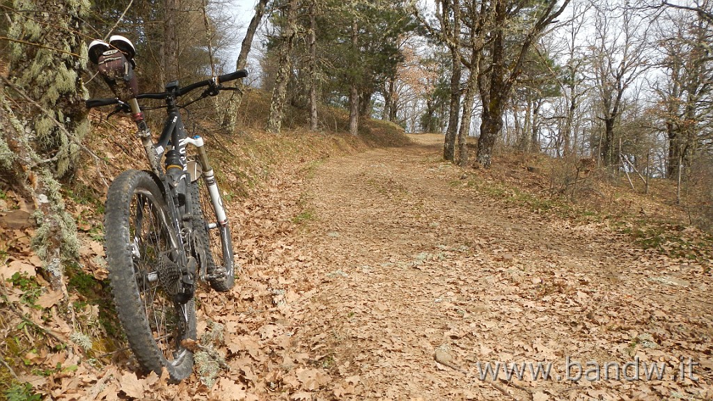 DSCN4464.JPG - Nebrodi - Exploring d'inverno