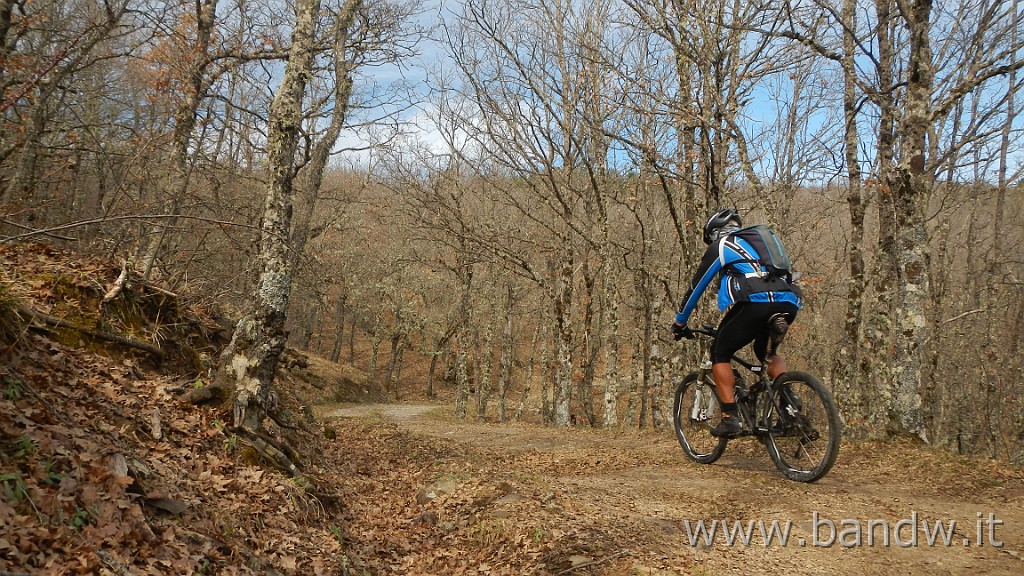 DSCN4465.JPG - Nebrodi - Exploring d'inverno